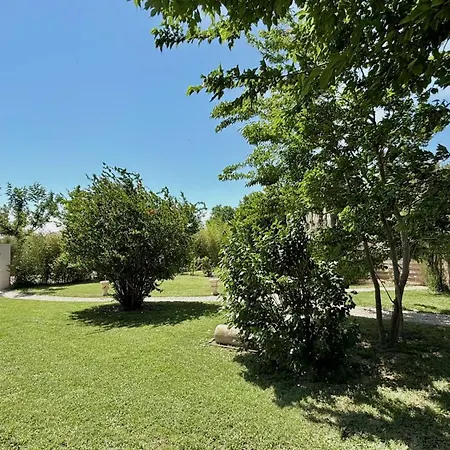 De Provence * Châteaurenard